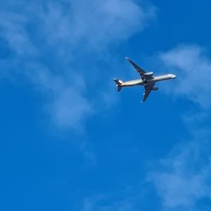 Meet your Posher, Young